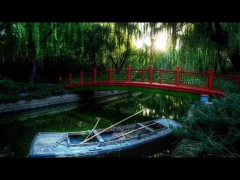 Relax Music Zavq beruvchi Tabiatning eng go'zal olami