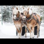 A Countryside Christmas, Soft Holiday Christmas Music, Popular instrumental Carols by Tim Janis