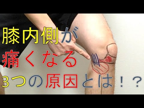 膝の内側が痛くなる3つの原因を解説！