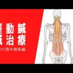 首の痛みに❗️頚部の頭半棘筋の運動鍼