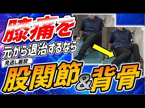 【#膝痛】膝の痛みを元から退治するなら股関節と背骨の連動性を上げるべし【＃いたみいろどり整体院】