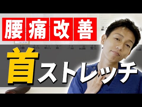【10秒で簡単！】腰痛を改善する首のストレッチ！【千葉県　整体】