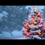Christmas Carols, Instrumental Traditional Carols, "Christmas Winter Evergreen Forest" by Tim Janis