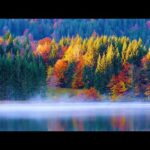 Beautiful Relaxing Music, Peaceful Soothing Instrumental Music, "Autumn Senary" by Tim Janis
