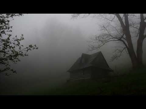Peace 4 am – listen to it every morning – afternoon relaxation – relaxing music – deep focus