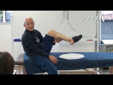 杉本錬堂さんDVD　体の痛みを取る自己指圧法ワーク【DVDダイジェスト版】