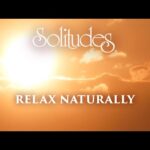 Dan Gibson’s Solitudes – In the Warmth of the Sun | Relax Naturally