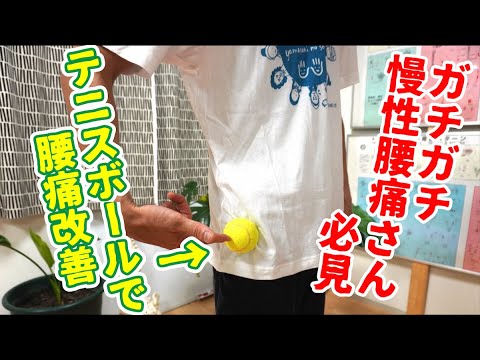 【腰痛改善】テニスボールでガチガチの慢性腰痛を改善
