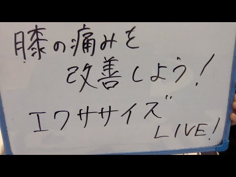 膝の痛みを改善しよう！エクササイズライブ　第212回