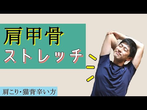 【肩こり解消】『超硬い人向け』ガチガチの肩甲骨を柔らかくする方法【簡単】
