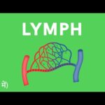 Life Processes – Lesson 25 | Lymph – in Hindi (हिंदी में ) | Infinity Learn