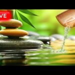 🔴 Relaxing Zen Music 24/7, Healing Music, Meditation Music, Spa Music, Sleep, Zen, Nature Sounds