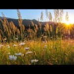 Beautiful Relaxing Hymns, Peaceful Instrumental Music, "Peaceful Evening Sky" by Tim Janis