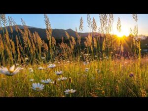 Beautiful Relaxing Hymns, Peaceful Instrumental Music, "Peaceful Evening Sky" by Tim Janis