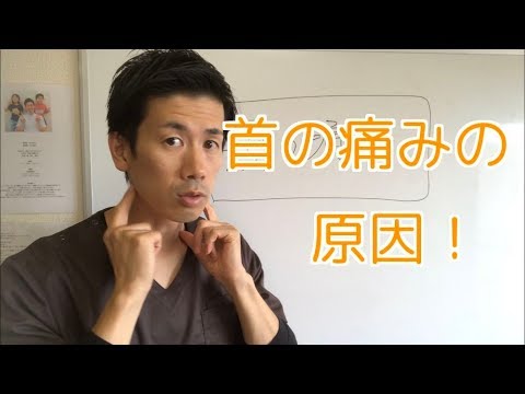 首の痛みはここからきています！