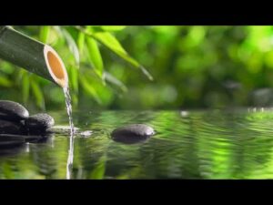 Relaxing Piano Music & Water Sounds 24/7 – Ideal for Stress Relief and Healing