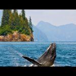 Beautiful Relaxing Music, Peaceful Soothing Instrumental Music, "Alaska Destinations" by Tim Janis