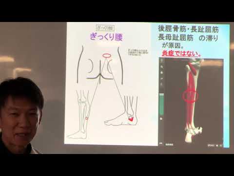 腰痛の痛みの原因と痛みの取り方