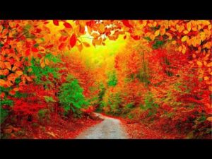 November Autumn, Peaceful Music, Relaxing soothing Music, Instrumental Music by Tim Janis