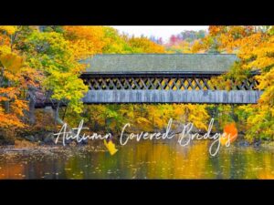Beautiful Relaxing Music, Peaceful Soothing Instrumental Music, "Autumn Covered Bridges" Tim Janis