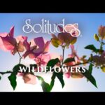 Dan Gibson’s Solitudes – Caressed by the Sun | Wildflowers