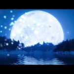 Fall into Deep Sleep ★ Stress and Anxiety Relief ★ Relaxing Music for Meditation, Anxiety, Spa, Yoga
