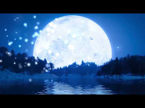 Fall into Deep Sleep ★ Stress and Anxiety Relief ★ Relaxing Music for Meditation, Anxiety, Spa, Yoga