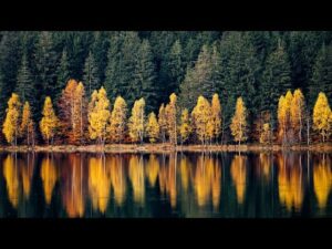 Autumn Golden Lake, Peaceful Soothing Instrumental Music, Beautiful Music, by Tim Janis