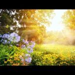 Beautiful Relaxing  Hymns, Peaceful Instrumental Music, "Autumn Golden Morning" by Tim Janis