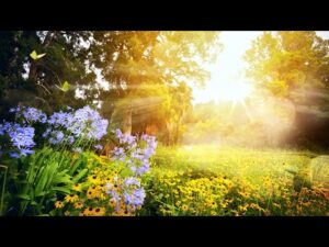 Beautiful Relaxing  Hymns, Peaceful Instrumental Music, "Autumn Golden Morning" by Tim Janis