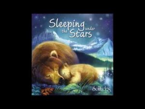 Sleeping Under the Stars – Dan Gibson & The Dream Weavers