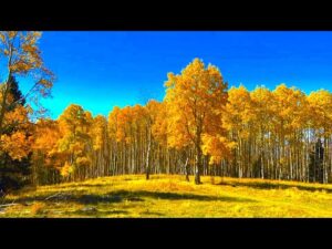 Beautiful Relaxing Music, Peaceful Soothing Instrumental Music, "Autumn Golden Hillside"by Tim Janis