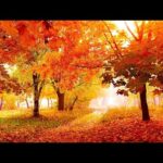 Beautiful Relaxing Hymns, Peaceful Piano Music, "Peaceful Autumn Morning Sunrise" Tim Janis