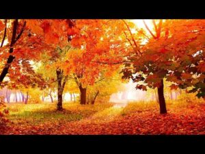 Beautiful Relaxing Hymns, Peaceful Piano Music, "Peaceful Autumn Morning Sunrise" Tim Janis