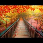 October Autumn, Peaceful Instrumental Music, Relaxing soothing Music, "Autumn Bridges"  by Tim Janis