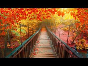 October Autumn, Peaceful Instrumental Music, Relaxing soothing Music, "Autumn Bridges"  by Tim Janis