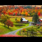 Autumn Foliage Golden Morning Sunrise, Beautiful Relaxing Hymns, Peaceful piano, by Tim Janis