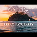 Dan Gibson’s Solitudes – Ocean Calling | Relax Naturally
