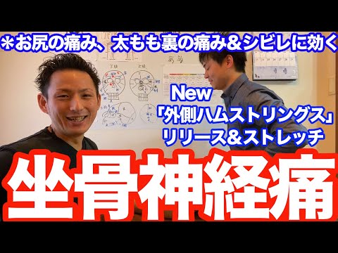 【坐骨神経痛】ガンコな坐骨神経痛を改善する、新しい「外側ハムストリングス（大腿二頭筋長頭)リリース＆ストレッチ」公開【大分市 腰痛治療家 GENRYU ( 安部元隆 )】