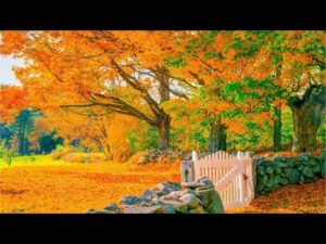 Beautiful Relaxing Music, Peaceful Soothing Instrumental Music, "Autumn Foliage Road" by Tim Janis
