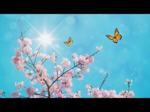 Beautiful Relaxing Music – Stress Relief Music, Positive Energy, Morning Music #23