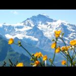 Beautiful Relaxing Hymns, Peaceful Music, "Summer in the Alps Morning Sunrise" by Tim Janis