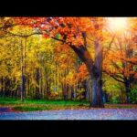Beautiful Relaxing Music, Peaceful Soothing Instrumental Music,"Autumn colors"
