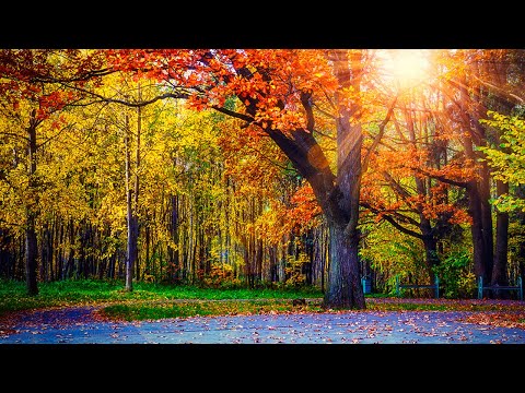 Beautiful Relaxing Music, Peaceful Soothing Instrumental Music,"Autumn colors"