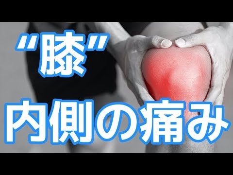 膝の内側の痛みを治す簡単1分マッサージ