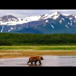 Beautiful Relaxing Music, Peaceful Soothing Music, "Journey to the Last Frontier" by Tim Janis