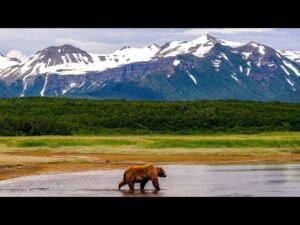Beautiful Relaxing Music, Peaceful Soothing Music, "Journey to the Last Frontier" by Tim Janis