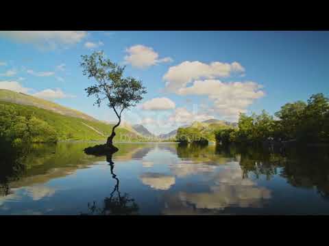 Beautiful Relax Music. Peaceful Music For study, sleep, stresse relief, meditation.