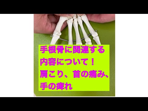 手部からの考える  症状について 肩こり、首の痛み、腕のだるさ 手の痺れなど