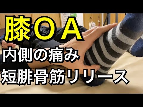 【膝OA】内側痛には短腓骨筋！【手技公開】